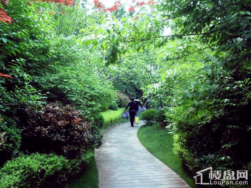 【别墅】圣菲漫步实景图