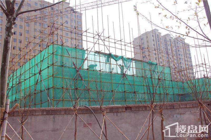 紫瑞园实景图