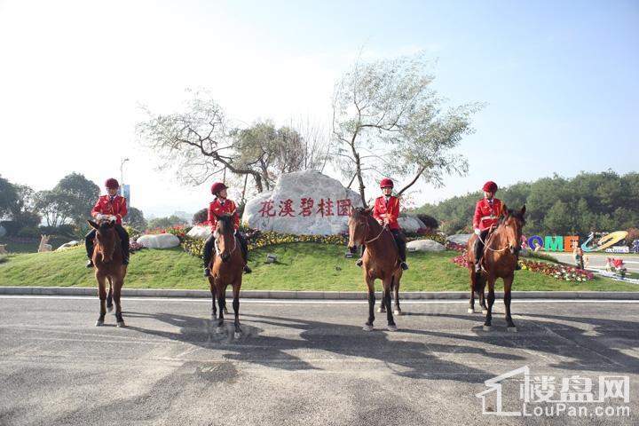 花溪碧桂园实景图