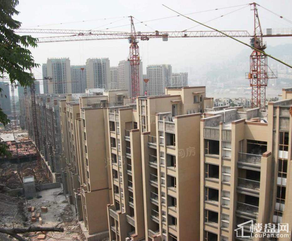 万硕江城一品 实景图