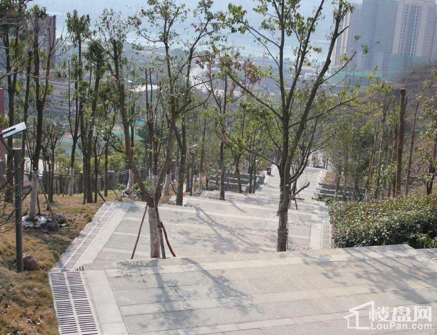 万硕江城一品 配套图
