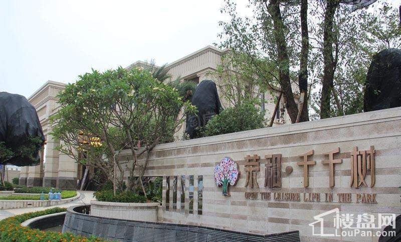 荣和千千树实景图