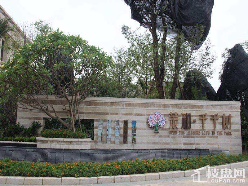 荣和千千树实景图