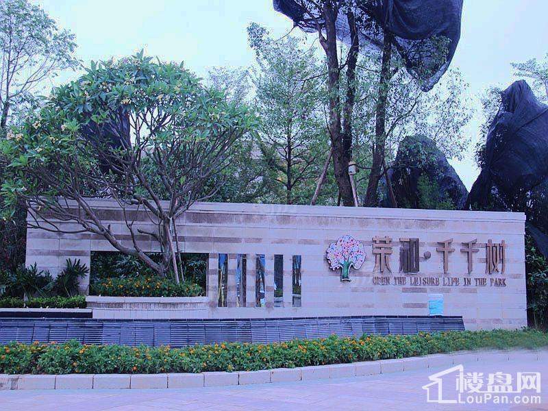 荣和千千树实景图