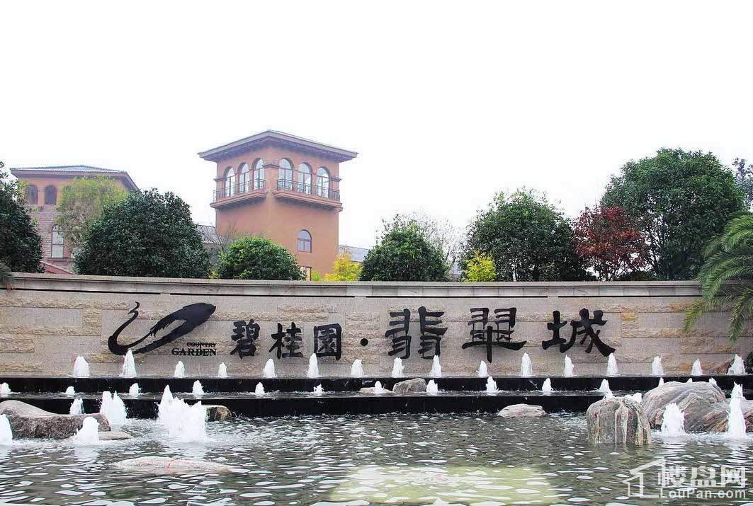 碧桂园翡翠城实景图