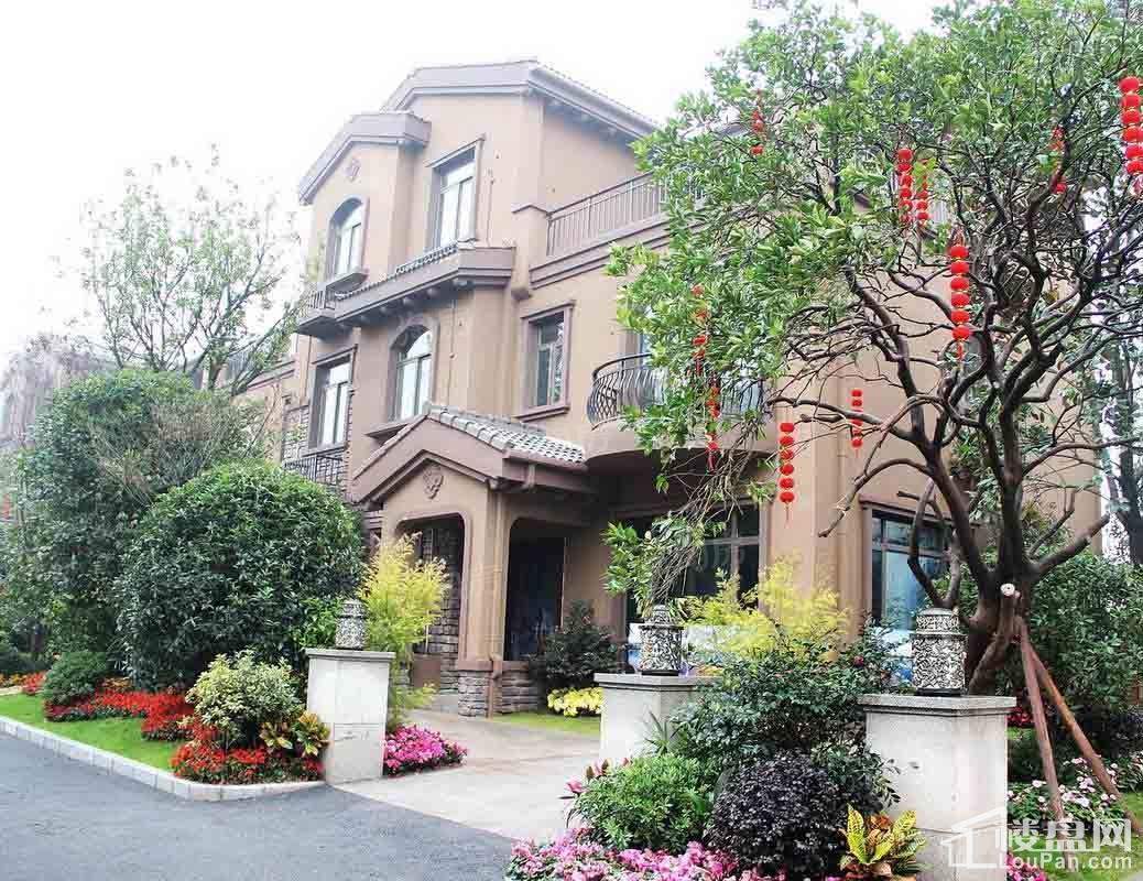 碧桂园翡翠城实景图