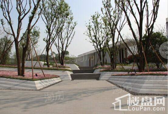 万科金御学府实景图