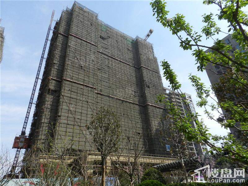 绿城诚园实景图