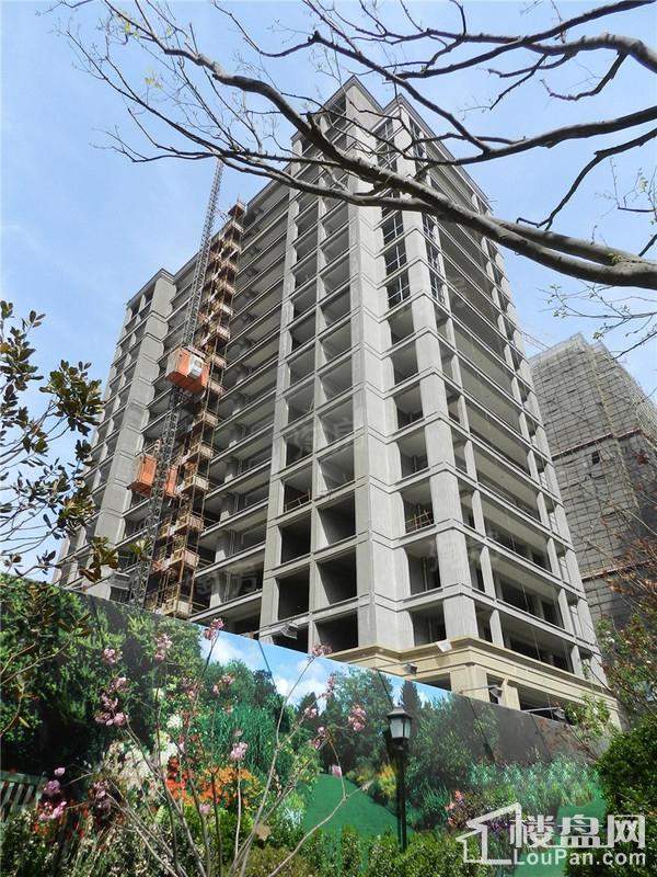 绿城诚园实景图