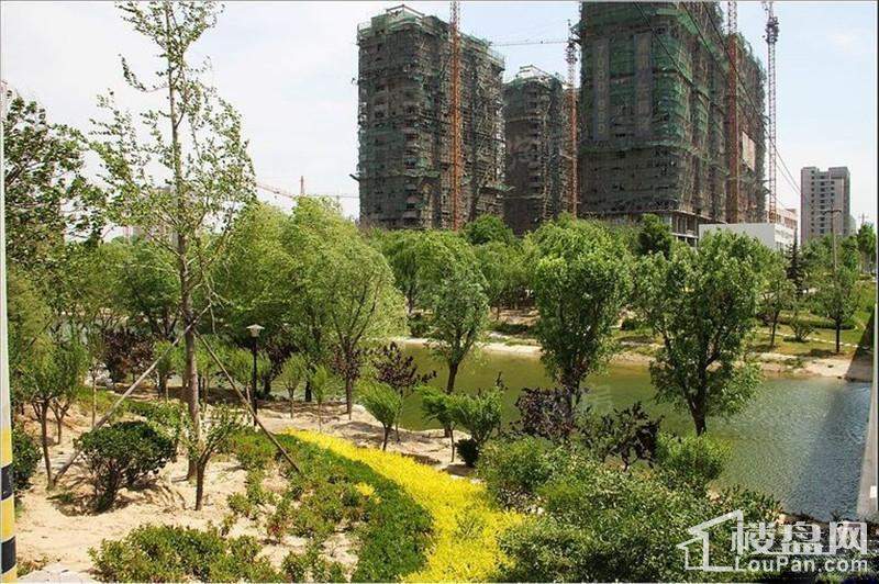 德润天鹅湾实景图