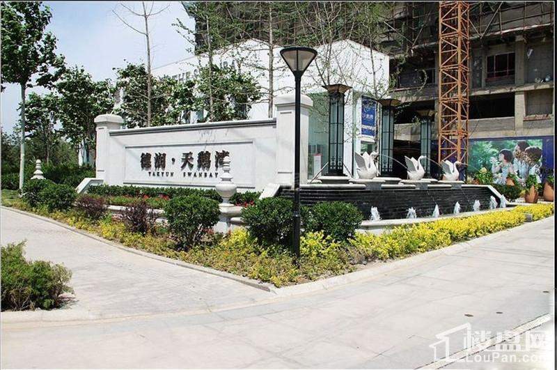 德润天鹅湾实景图