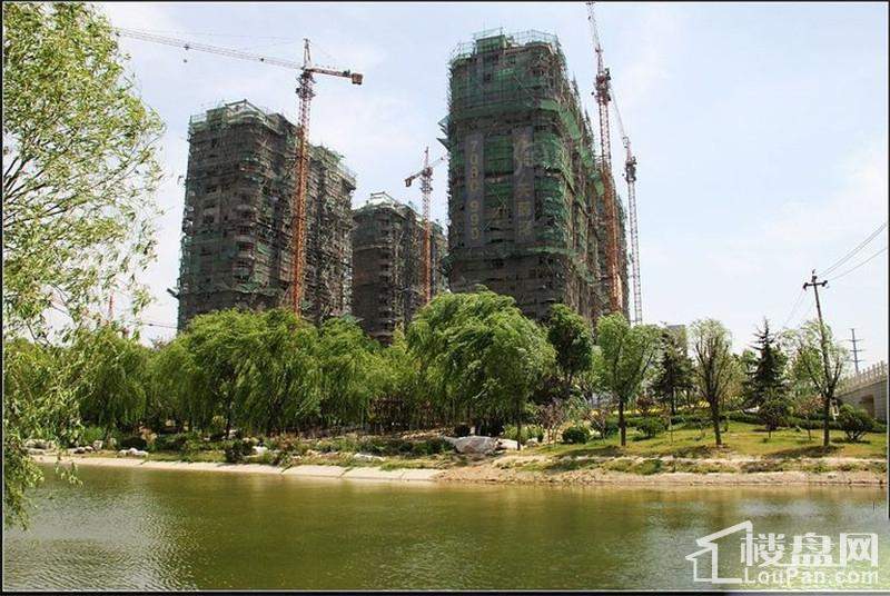 德润天鹅湾实景图
