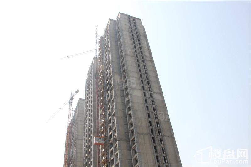 德润左岸绿洲实景图