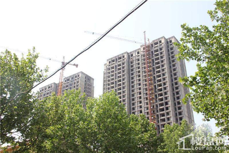 德润左岸绿洲实景图