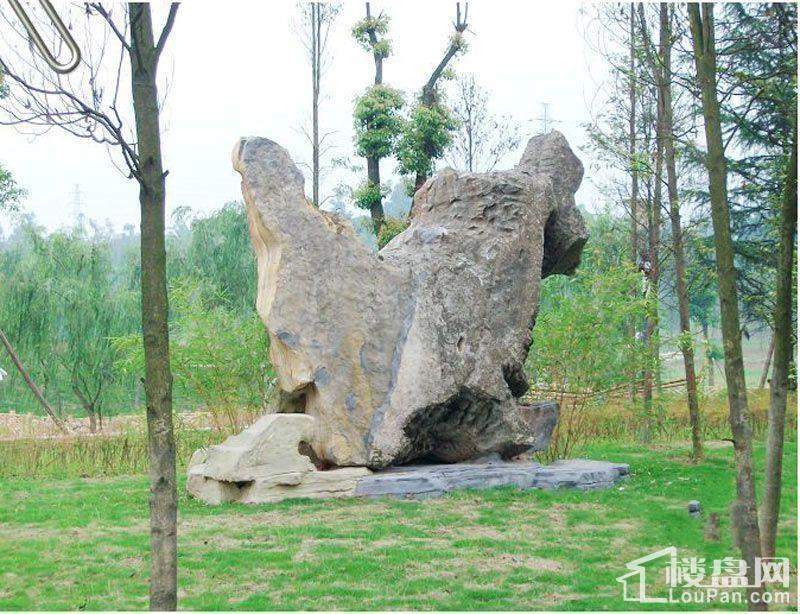 华府枫景配套图