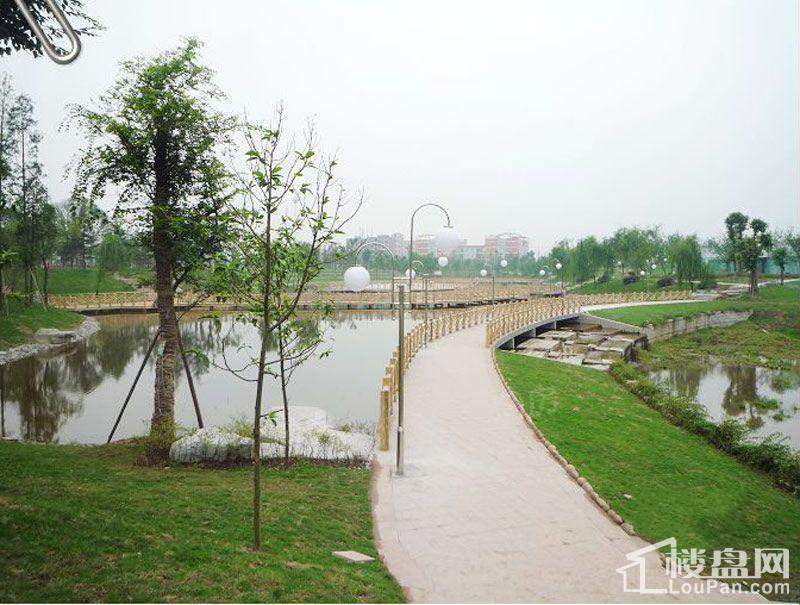 华府枫景配套图