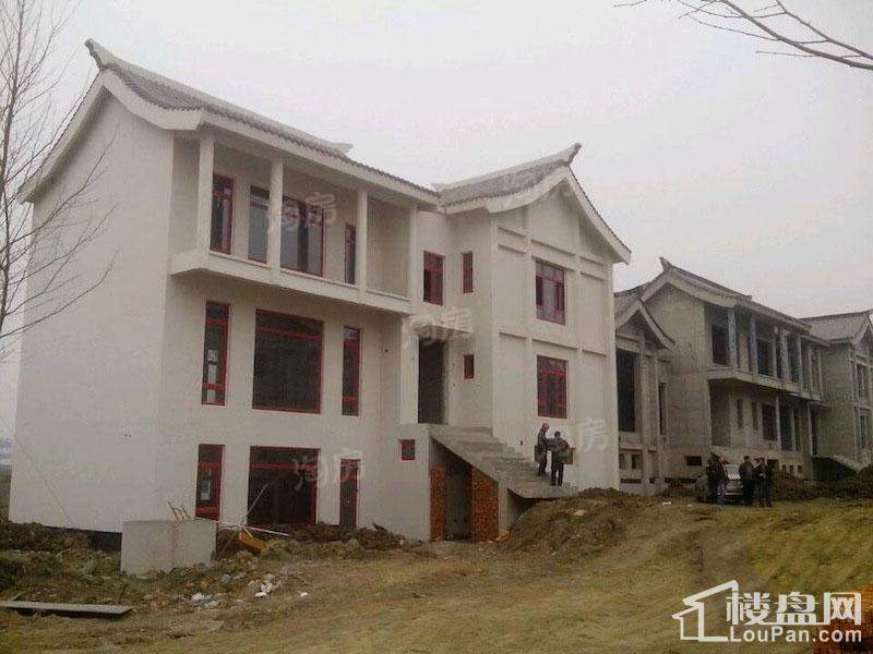 龙熙府实景图