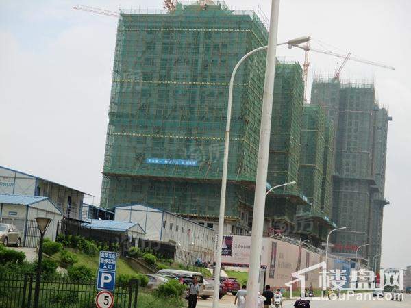 巴黎香醍实景图