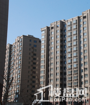 泮河小镇实景图