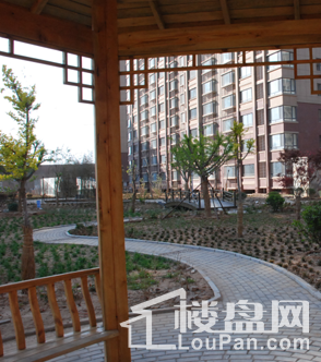 泮河小镇实景图