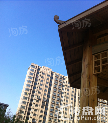 泮河小镇实景图