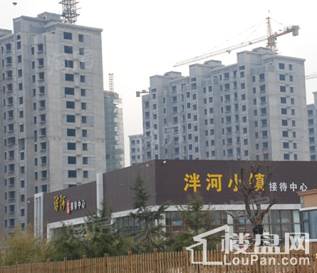 泮河小镇实景图