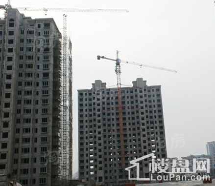 泮河小镇实景图