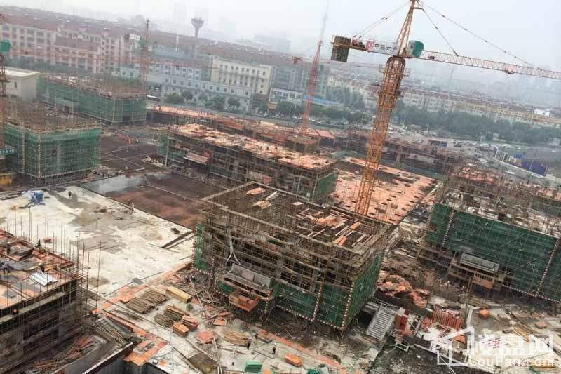 实景图