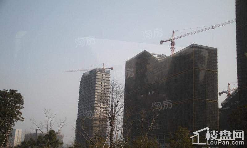 中央风景实景图