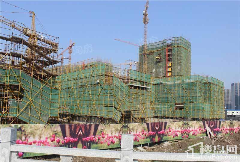 银亿东岸实景图