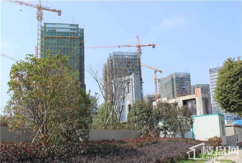 银亿东岸实景图