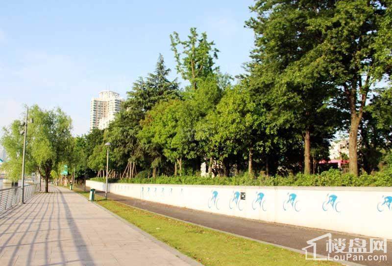 锦港府配套图