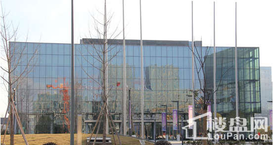 仙峰环合中心二期配套图