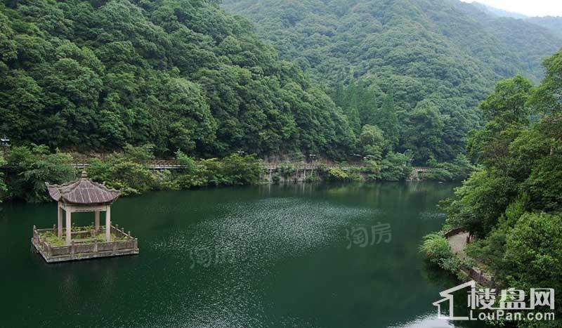 丽景花园实景图