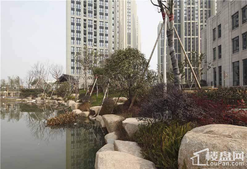 和美诚园实景图