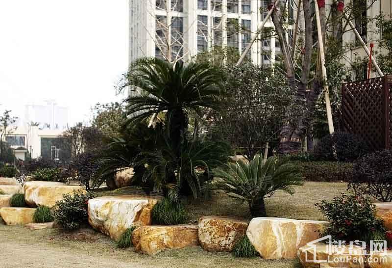 和美诚园实景图