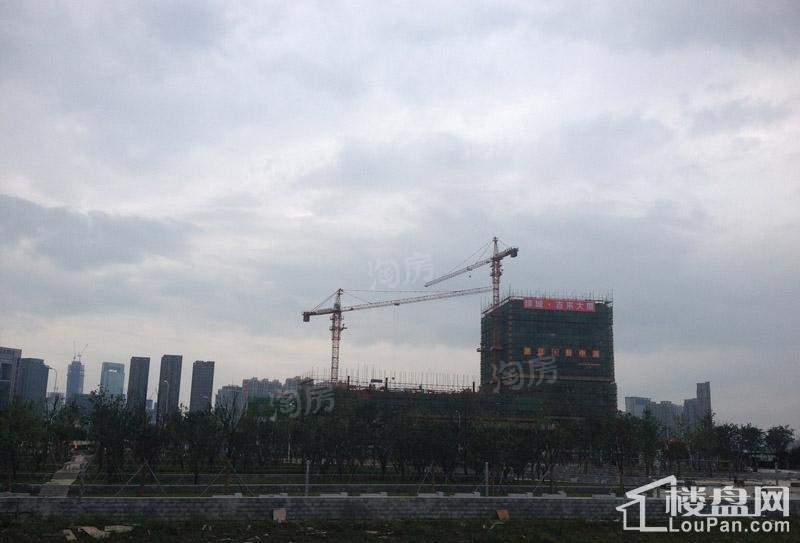 实景图