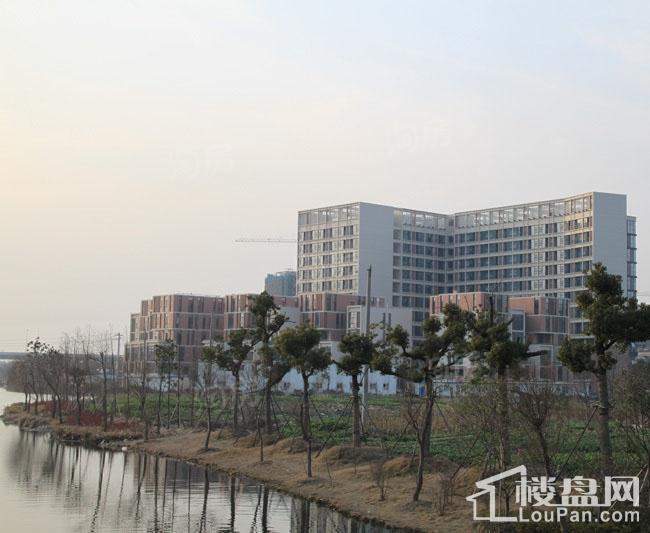 新星龙湾实景图