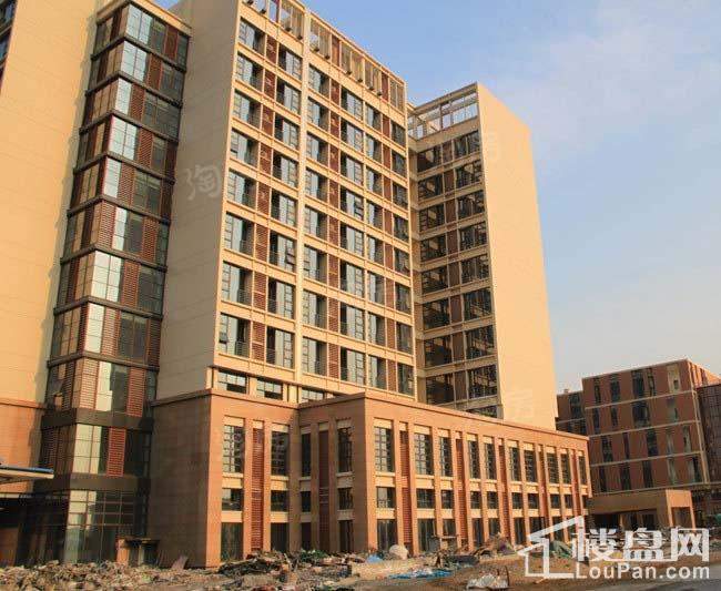 新星龙湾实景图
