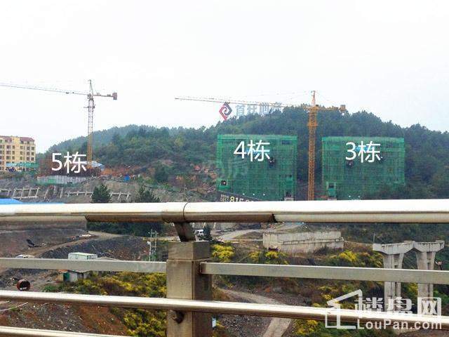 首开紫郡实景图