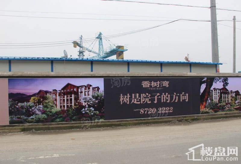 香树湾实景图