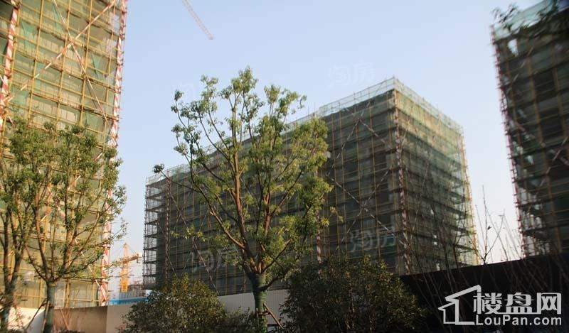 世茂滨江府实景图