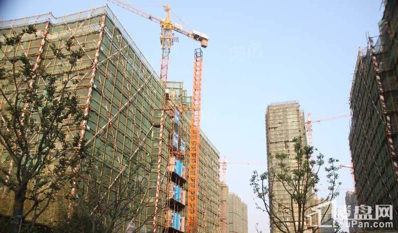 世茂滨江府实景图