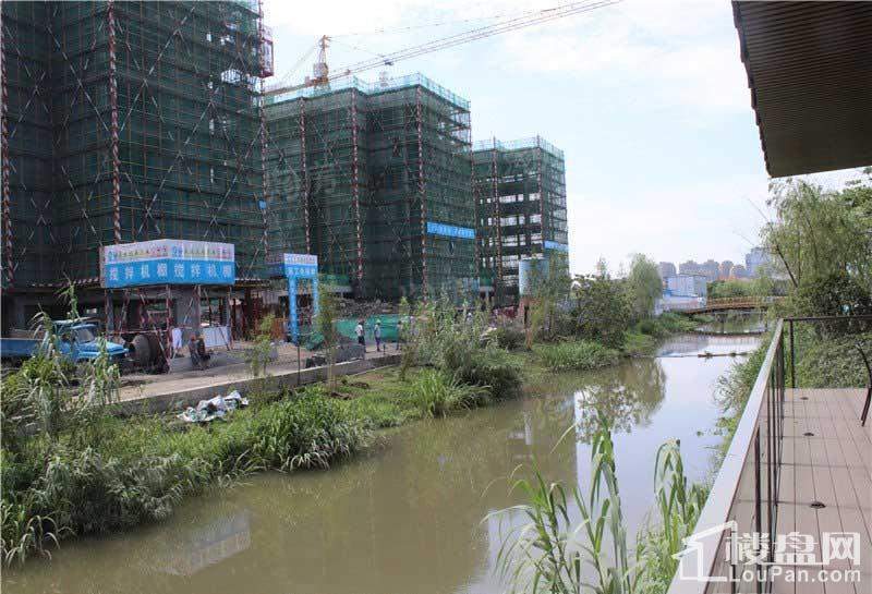 世茂滨江府实景图