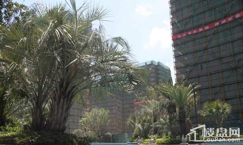 荣安中央公园实景图