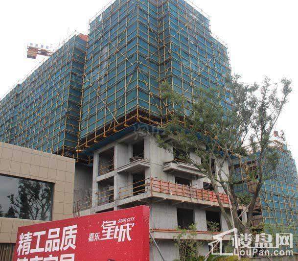嘉乐星城实景图