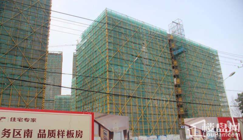 实景图