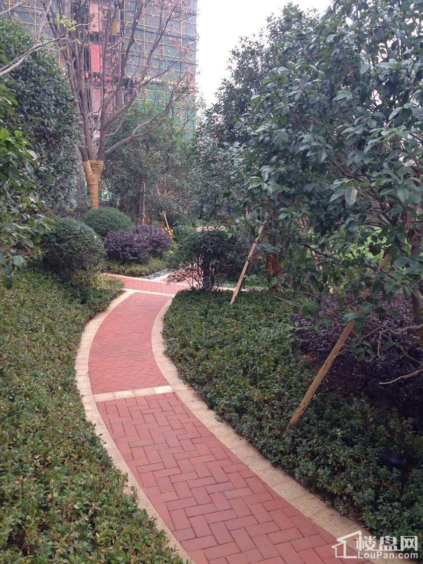 景骐锦源里实景图