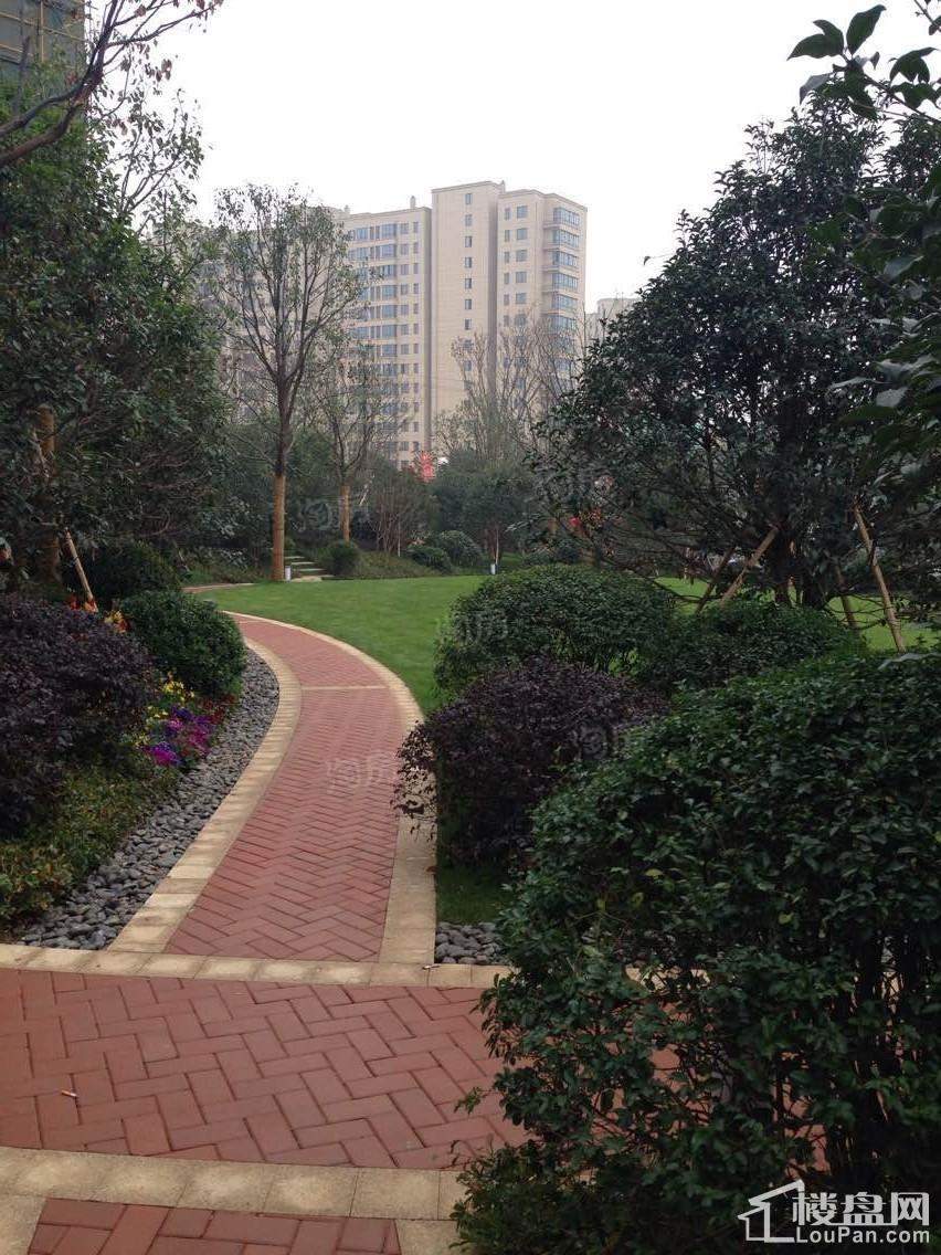 实景图