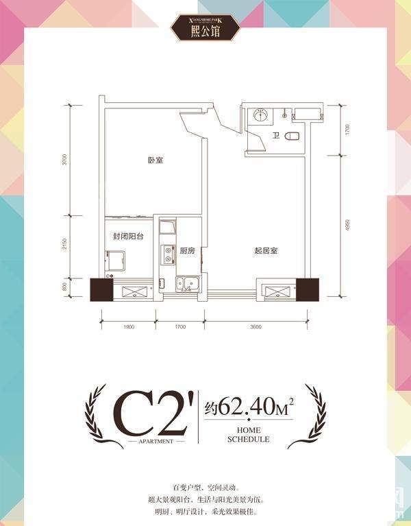C2户型图